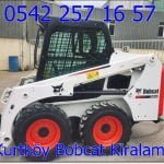 Kurtköy mini bobcat